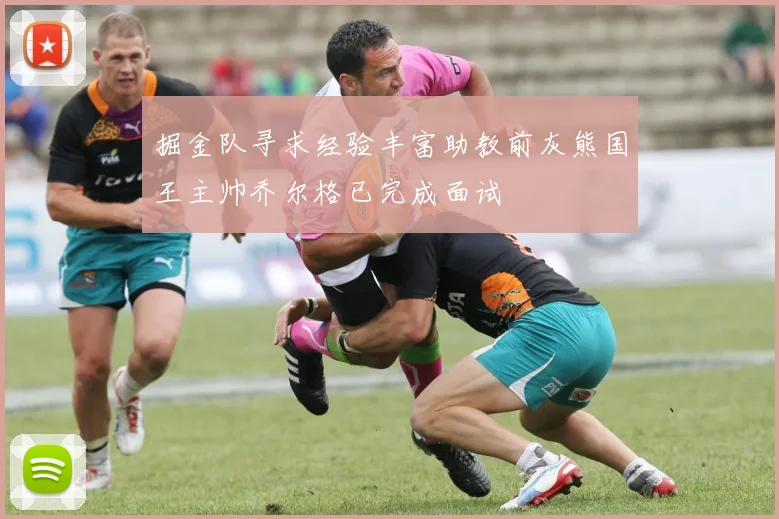 掘金队寻求经验丰富助教前灰熊国王主帅乔尔格已完成面试