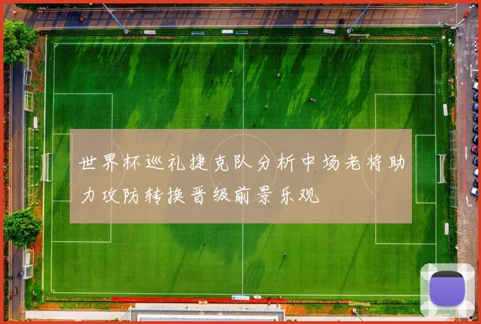 世界杯巡礼捷克队分析中场老将助力攻防转换晋级前景乐观